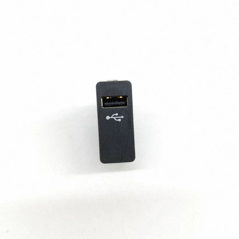 USB jungtis
