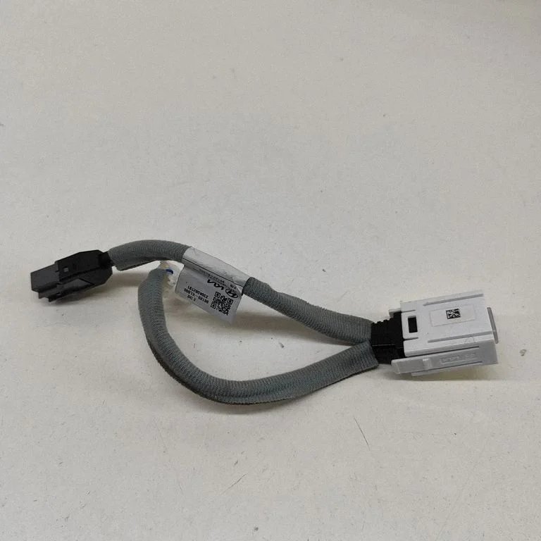 USB jungtis
