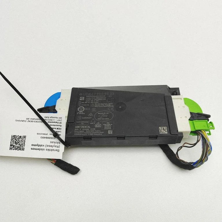 Beraktės sistemos KESSY (keyless) valdymo blokas/ modulis
