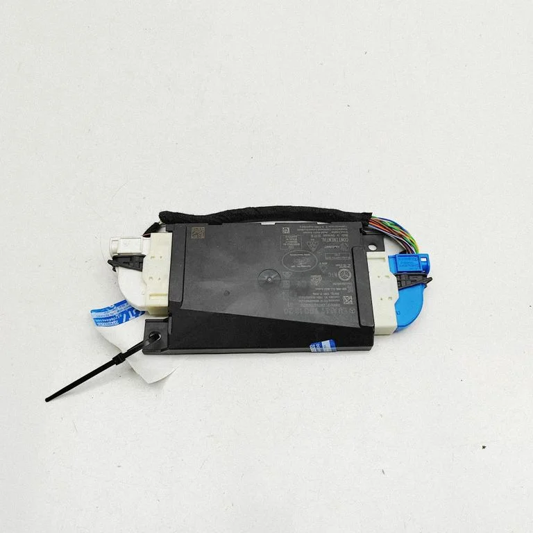 Beraktės sistemos KESSY (keyless) valdymo blokas/ modulis