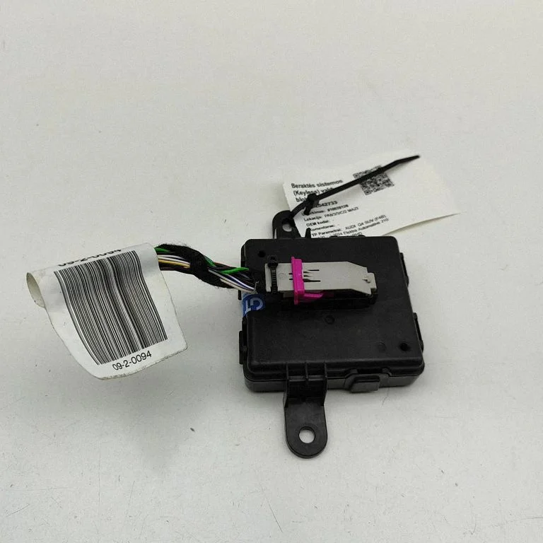 Beraktės sistemos KESSY (keyless) valdymo blokas/ modulis