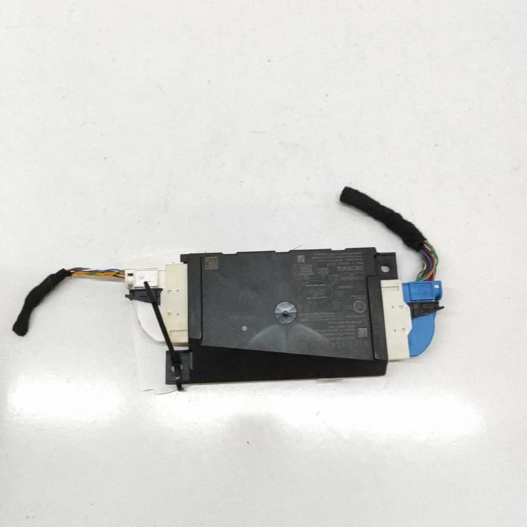 Beraktės sistemos KESSY (keyless) valdymo blokas/ modulis