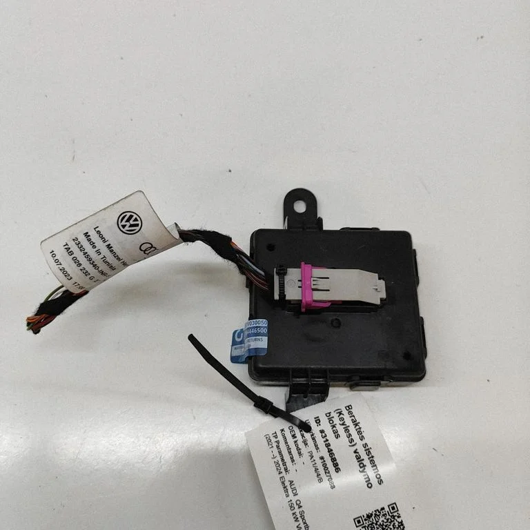 Beraktės sistemos KESSY (keyless) valdymo blokas/ modulis