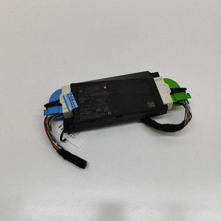 Beraktės sistemos KESSY (keyless) valdymo blokas/ modulis