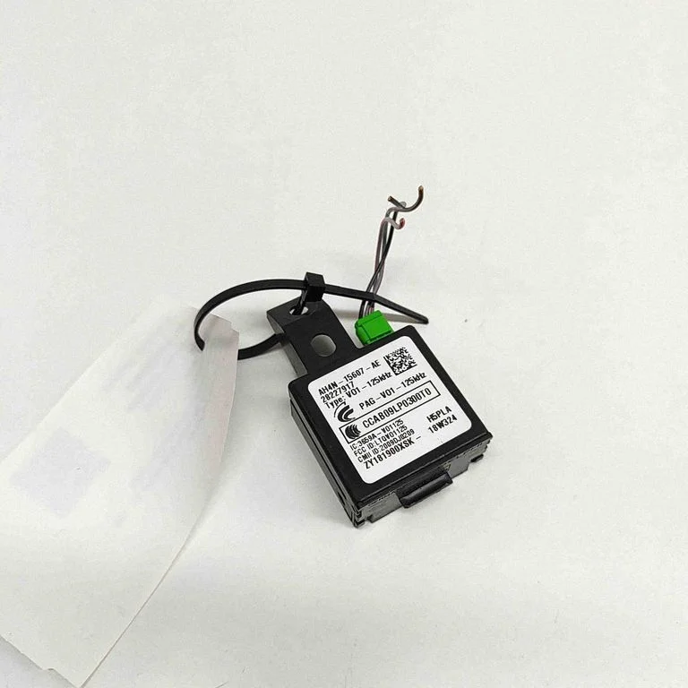 Beraktės sistemos KESSY (keyless) valdymo blokas/ modulis