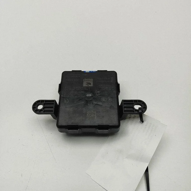 Beraktės sistemos KESSY (keyless) valdymo blokas/ modulis