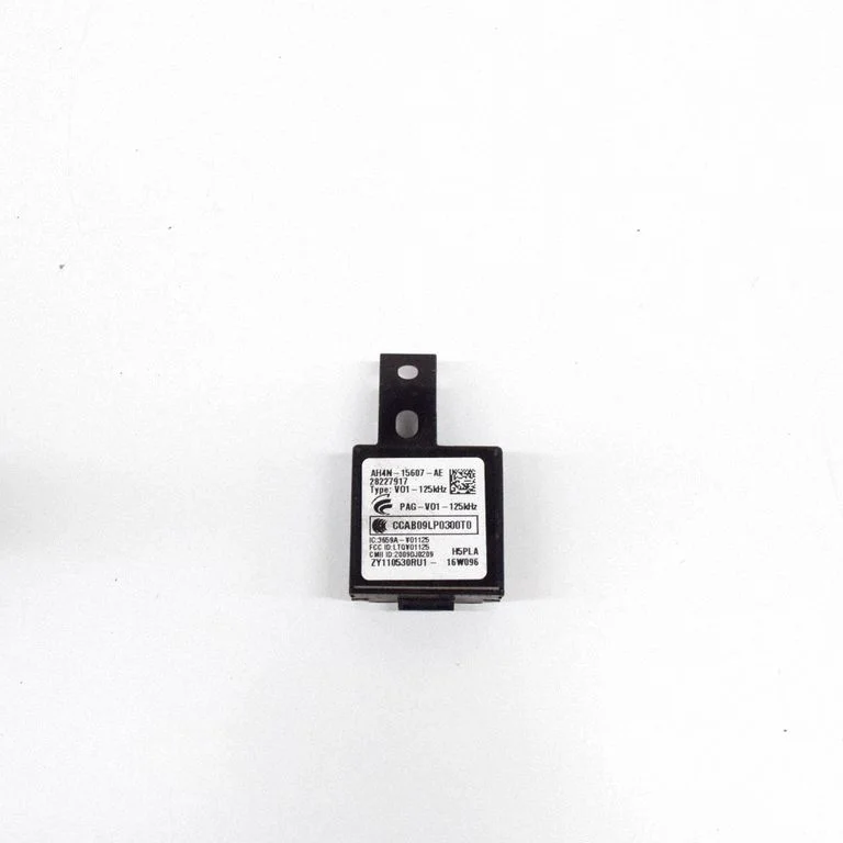 Beraktės sistemos KESSY (keyless) valdymo blokas/ modulis
