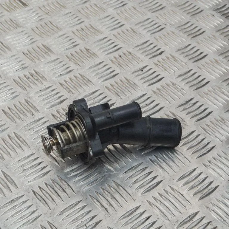 Termostatas