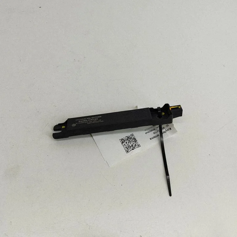 Beraktės sistemos antena