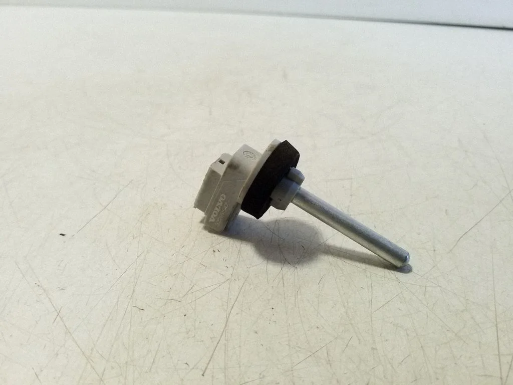 Salono temperatūros daviklis