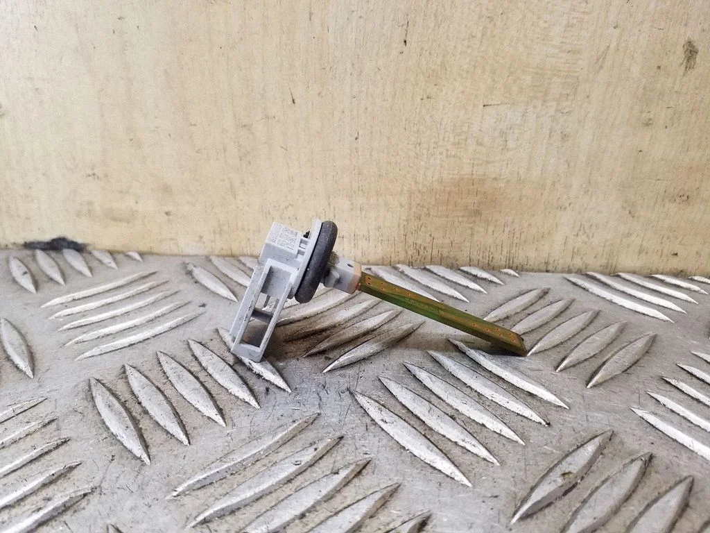 Salono temperatūros daviklis