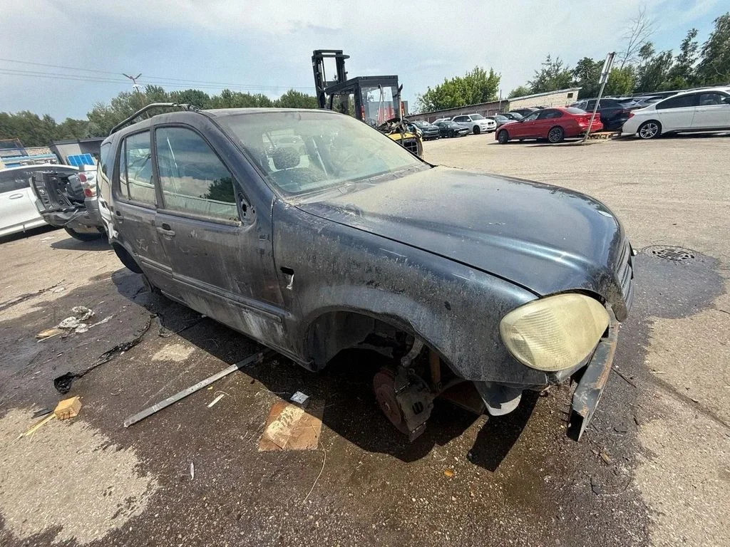 Mercedes-Benz ML-class, AMG (W163, W164, W166)
