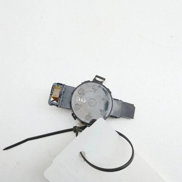 Lietaus daviklis