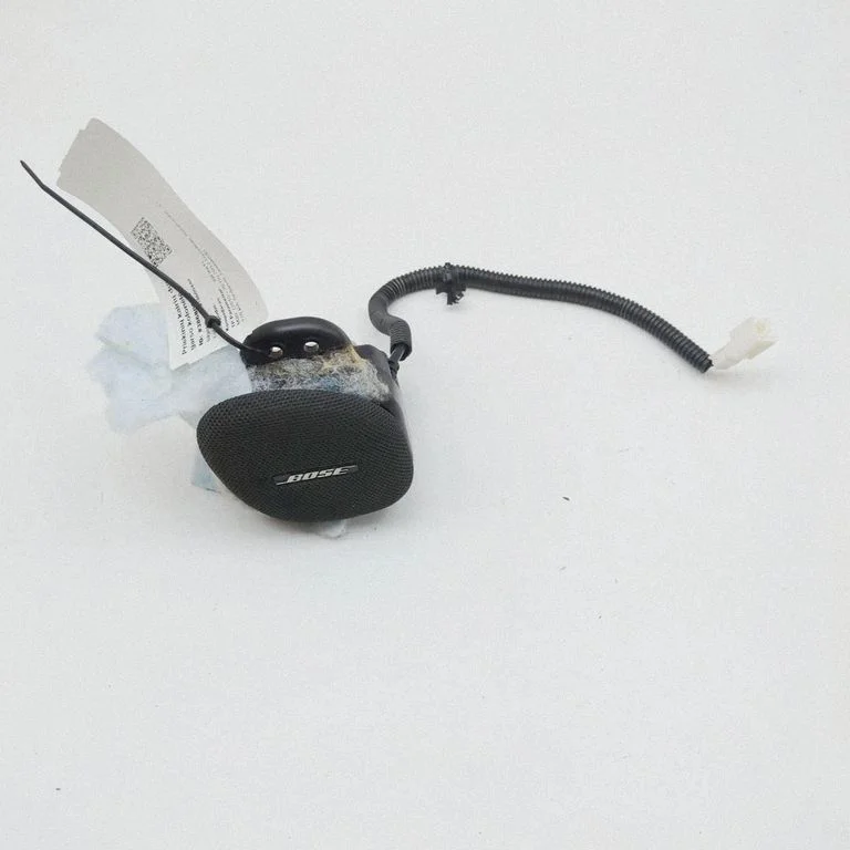 Garsiakalbis (-iai) priekinėse duryse
