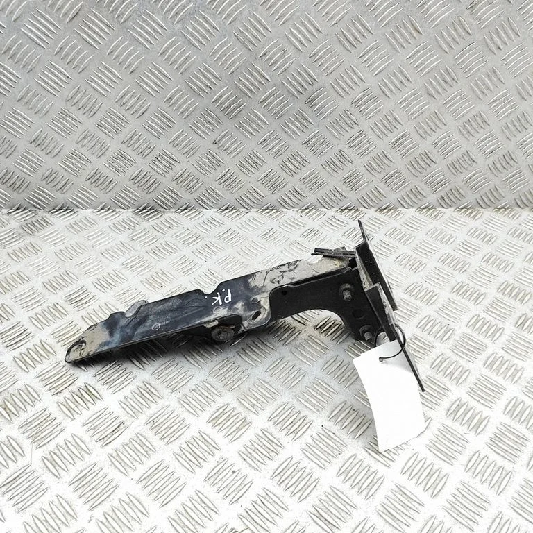 Kita kėbulo dalis