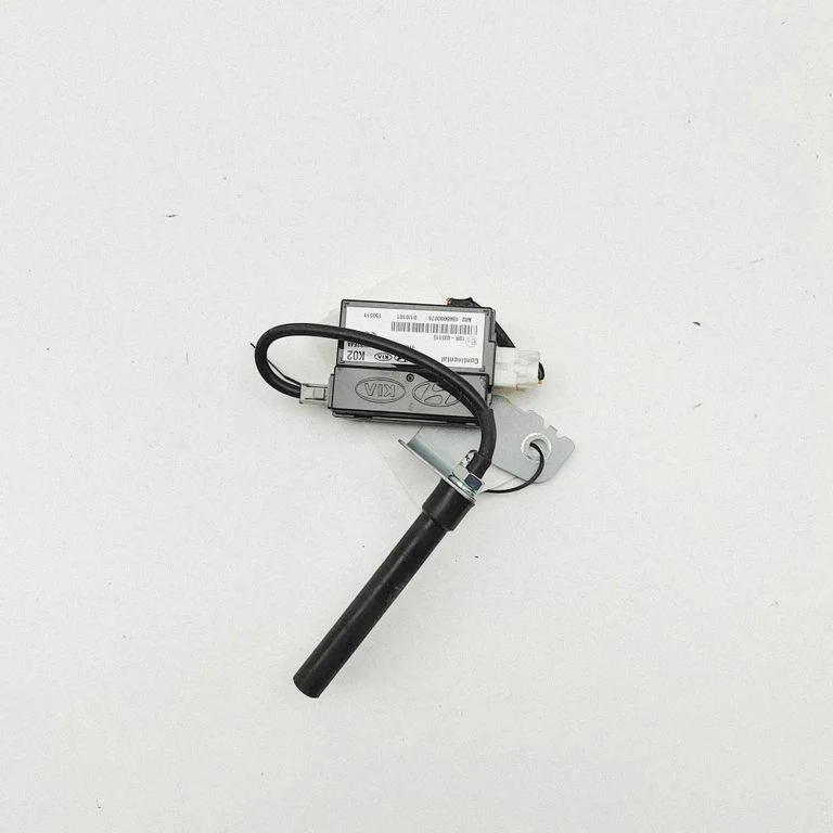 Beraktės sistemos KESSY (keyless) valdymo blokas/ modulis