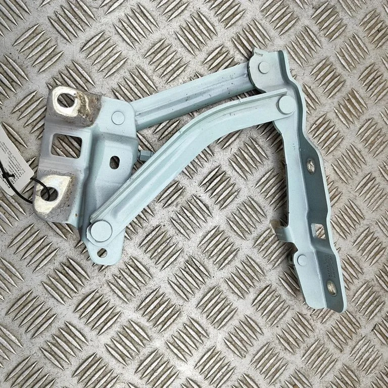 Vyris (-iai) variklio dangčio