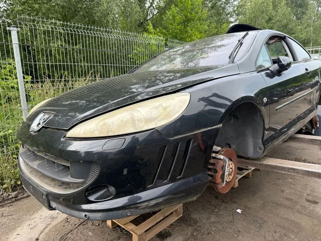 Peugeot 407