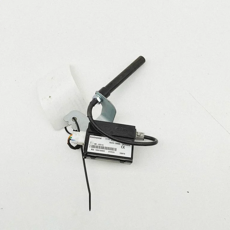 Beraktės sistemos KESSY (keyless) valdymo blokas/ modulis