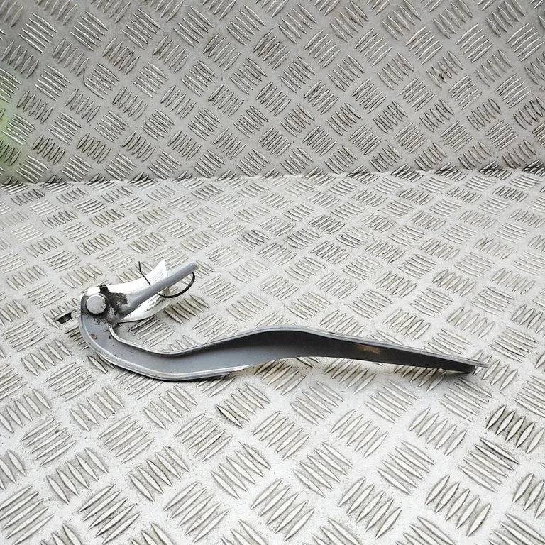 Vyris (-iai) variklio dangčio
