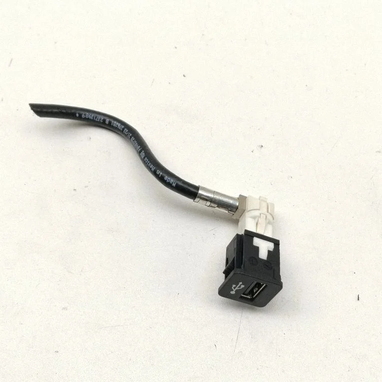 USB jungtis