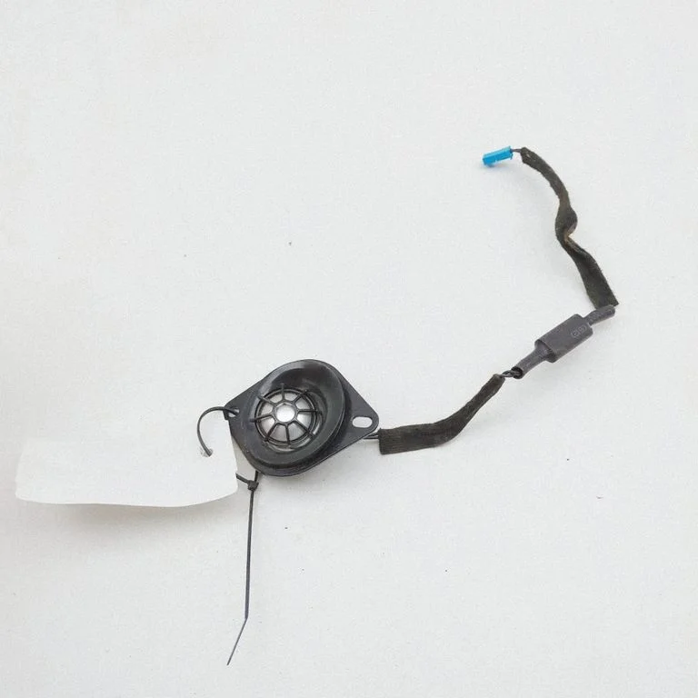 Garsiakalbis panelėje