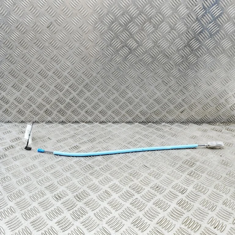 Kita kėbulo dalis
