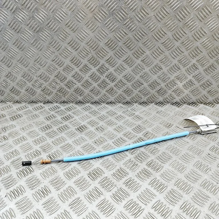 Kita kėbulo dalis